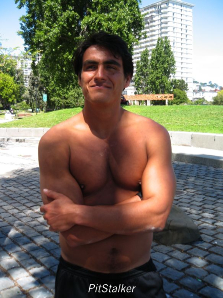 enrique_v219