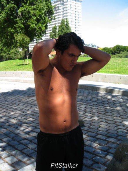 enrique_v228