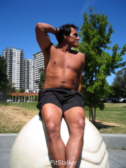 enrique_v247