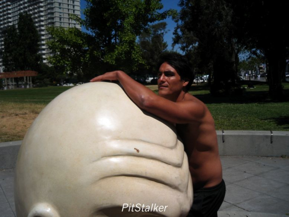 enrique_v250