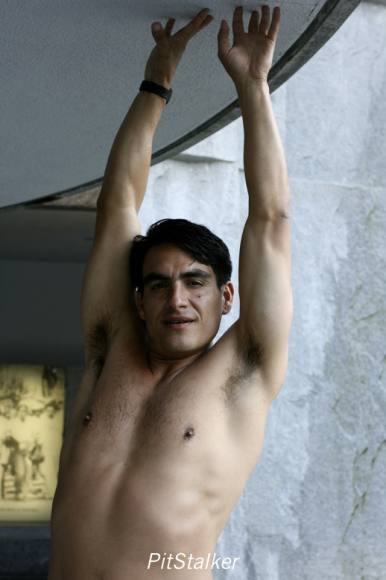 enrique_v484