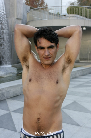 enrique_v530