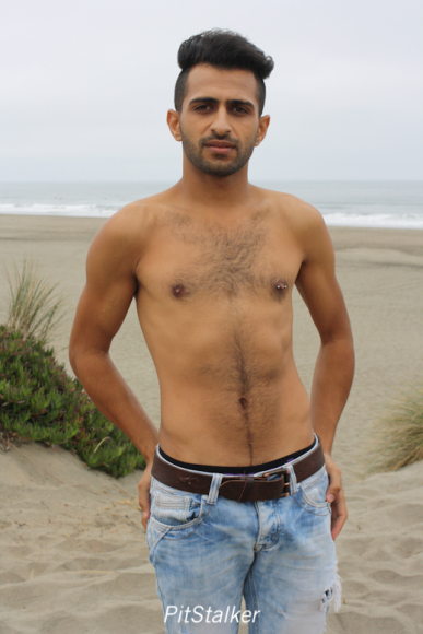 fadi_s022