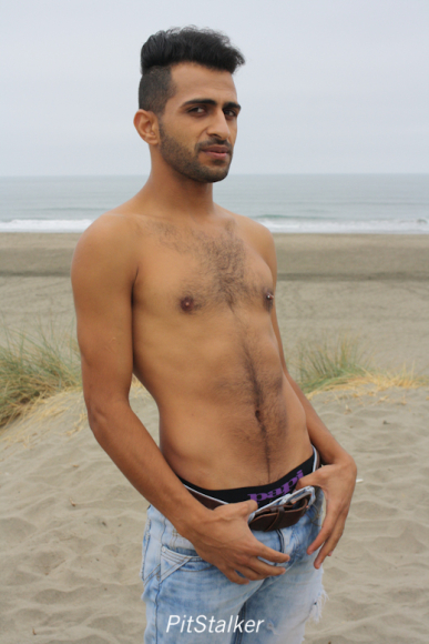 fadi_s025