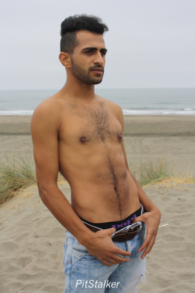 fadi_s026