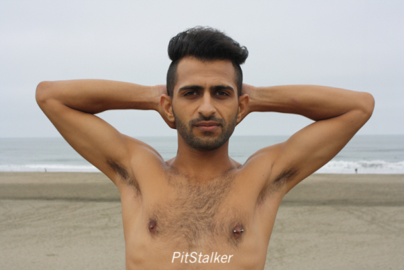 fadi_s034