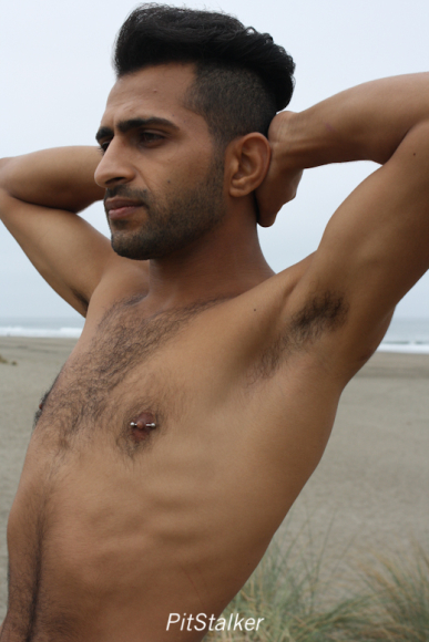 fadi_s037
