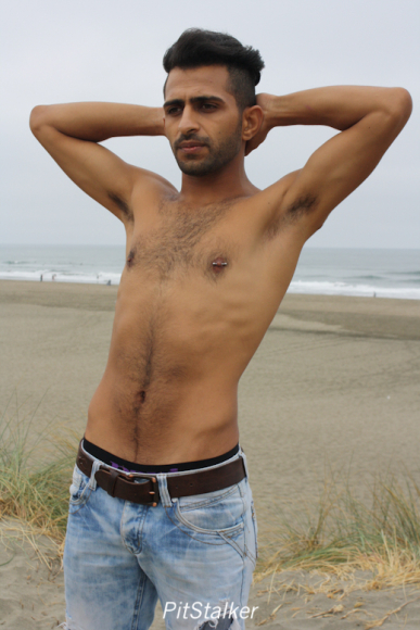 fadi_s038
