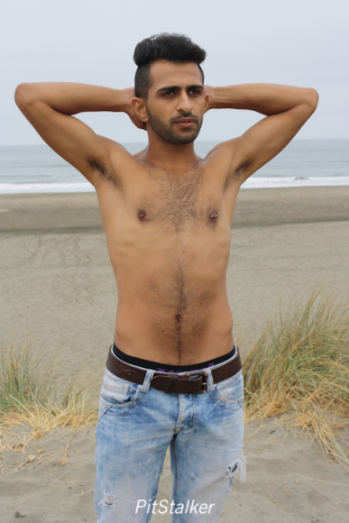 fadi_s041