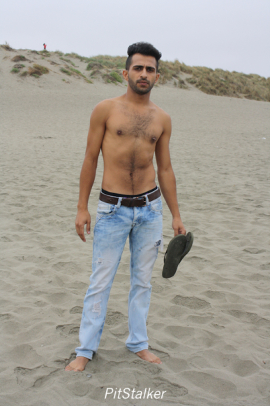 fadi_s046