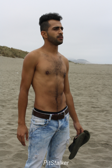 fadi_s049