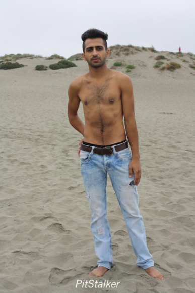 fadi_s050
