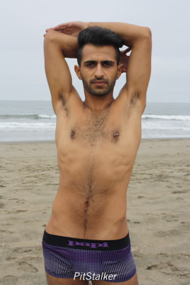 fadi_s070