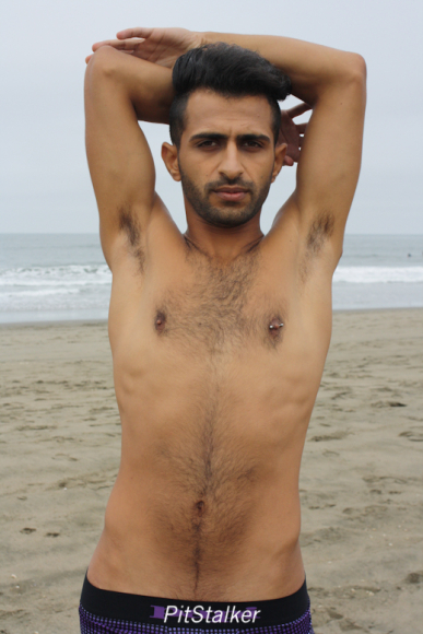 fadi_s072