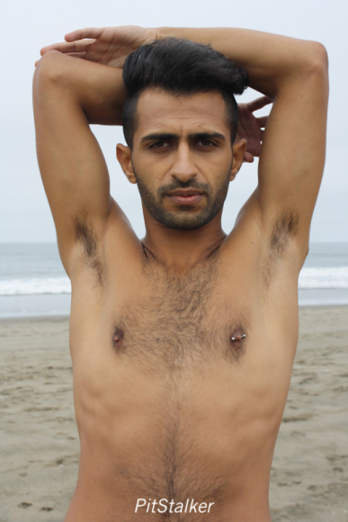 fadi_s073