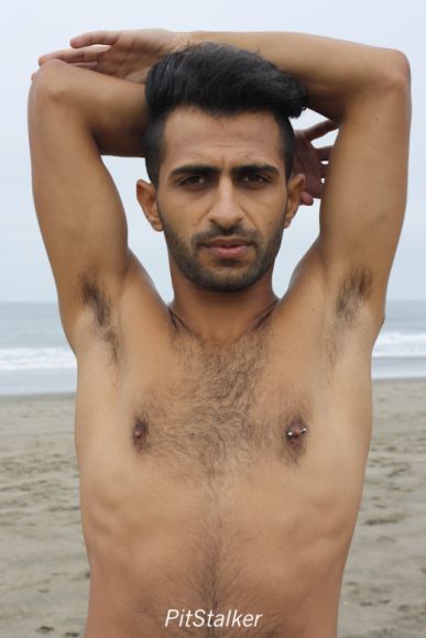 fadi_s074
