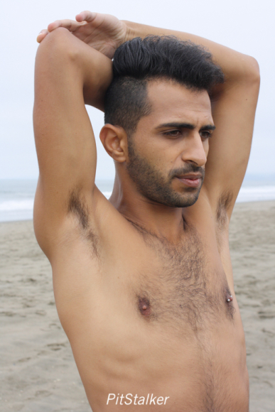 fadi_s075