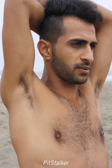 fadi_s076