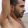 fadi_s078