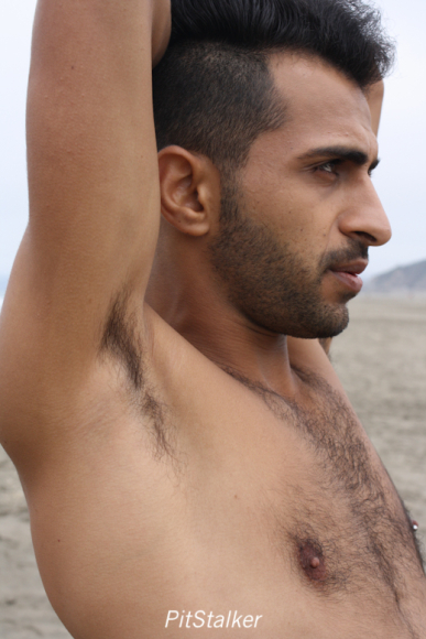 fadi_s078