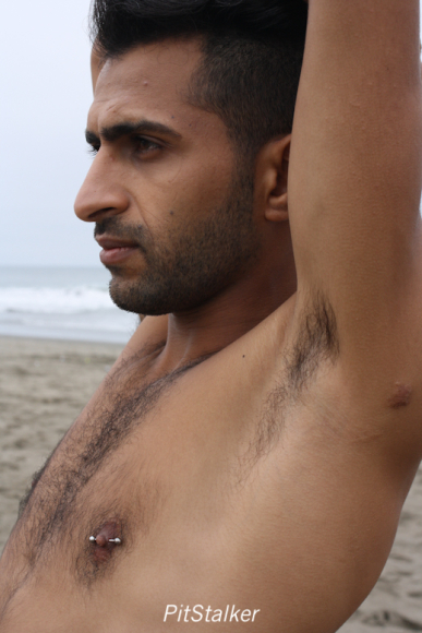 fadi_s079