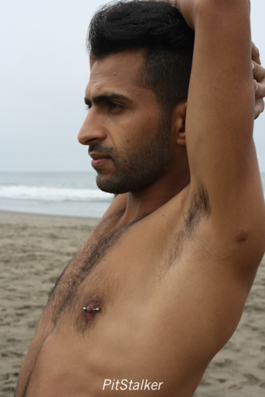 fadi_s080