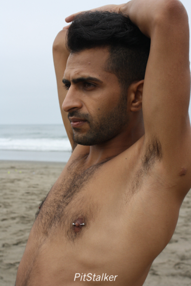 fadi_s081