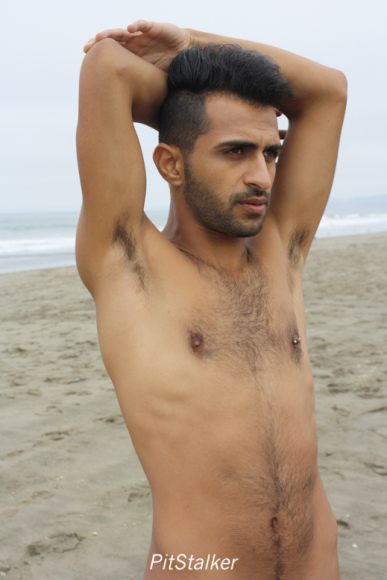 fadi_s085