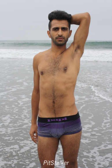 fadi_s117