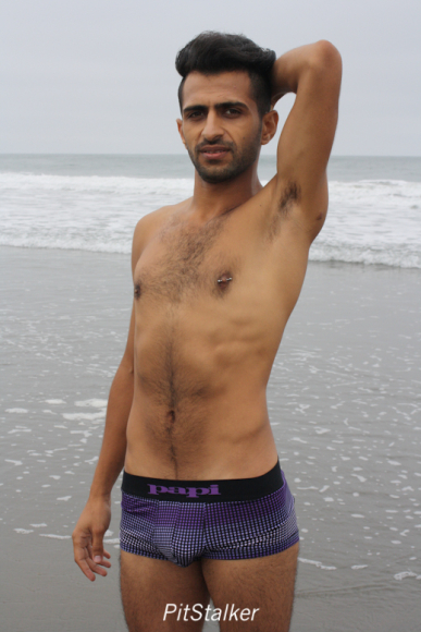 fadi_s119