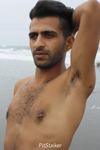 fadi_s121