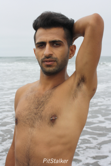 fadi_s122
