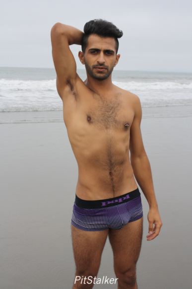 fadi_s124