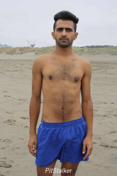 fadi_s137