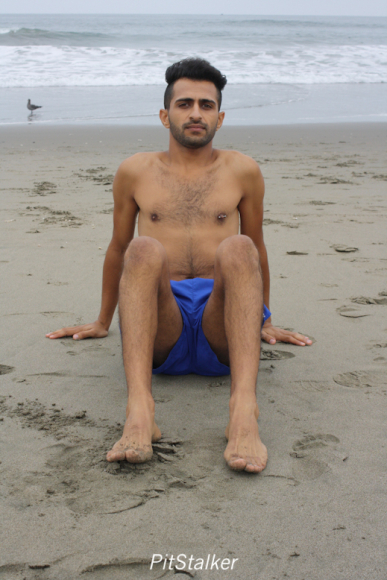 fadi_s153
