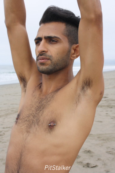 fadi_s201