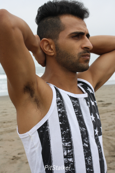 fadi_s227