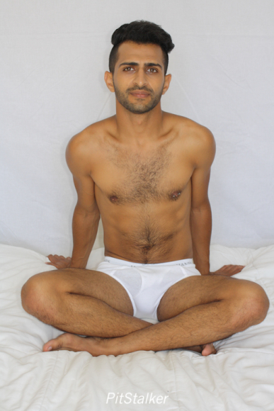 fadi_s261