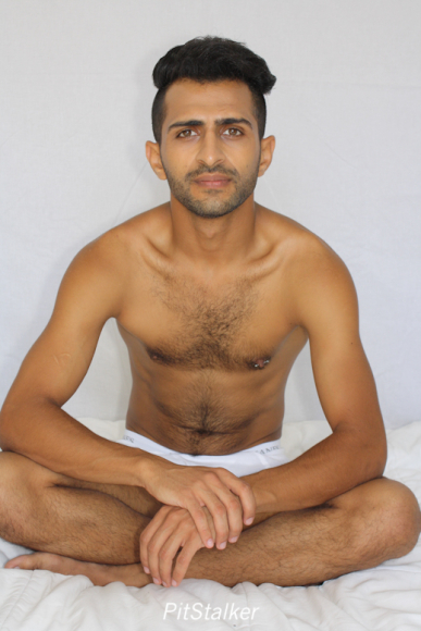 fadi_s264