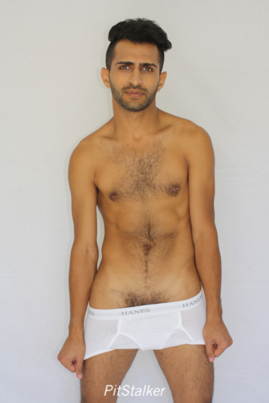 fadi_s293