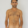 fadi_s331