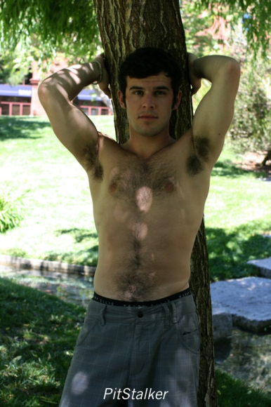 gale_p068