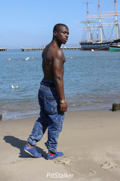 leo_b021