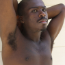 leo_b185
