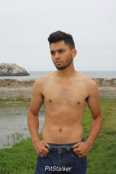 michael_m184