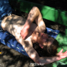 michael_p168