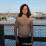 nolan_z167