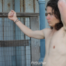 nolan_z181