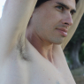 sal_m361