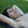 sal_m395